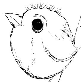 Four Whimsical Bird Sketches | Diane Antone Studio