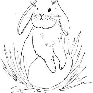 Easter Bunny and Egg Sketch