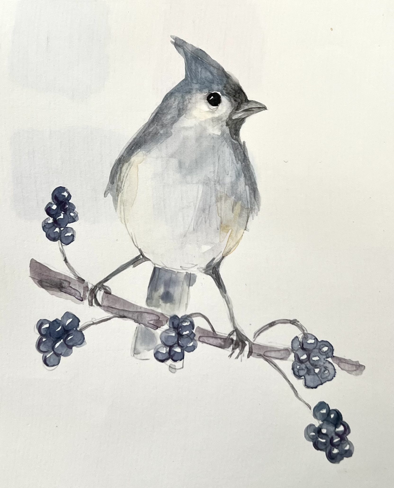 Tufted Titmouse and Friends