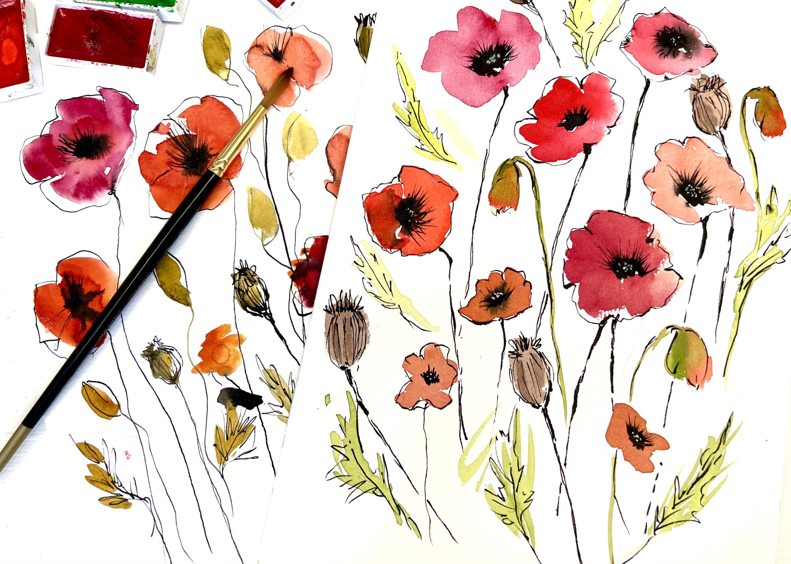 Watercolor and Ink Poppies