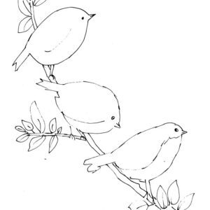 Birds with Sparkles Sketch
