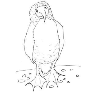 "Brilliant Birds" Daily Challenge Sketch Bundle