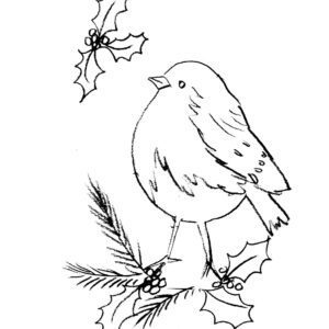 Christmas Robin Sketch