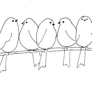 Colourful Birds Sketch
