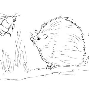 Hedgehog and Bee Sketch