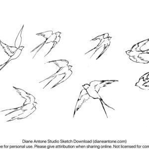 Swallows in Flight Sketch
