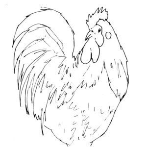 Rooster Sketch II