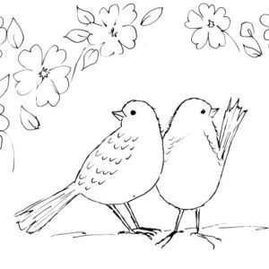 Pair of Cute Birds and Flowers Sketch