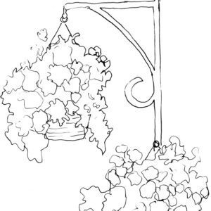 Hanging Flower Baskets Sketch