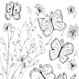 Whimsical Butterflies Sketch