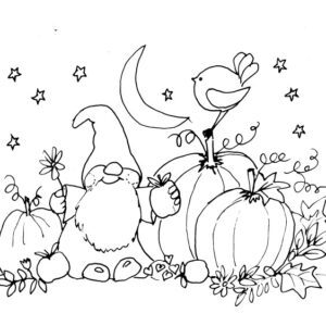 Pumpkin Gnome Sketch
