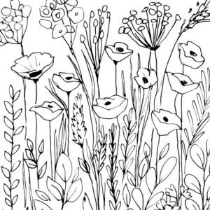 Wildflower Meadow Sketch