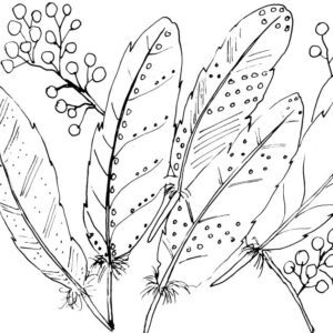 Five Feathers Sketch