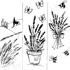 Lavender Bookmarks Sketch II