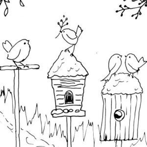 Robins and Bird Houses Sketch