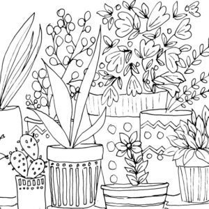 House Plants Sketch III