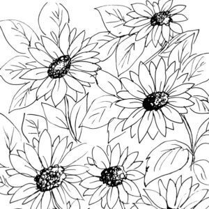 Sunflowers Sketch II