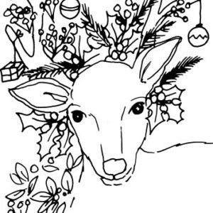 Christmas Reindeer Sketch