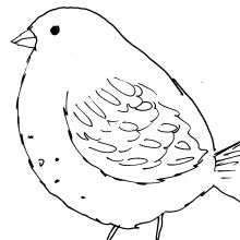 Four Whimsical Bird Sketches