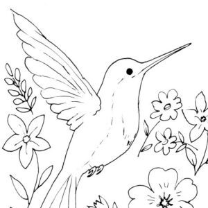Hummingbird and Flowers Sketch
