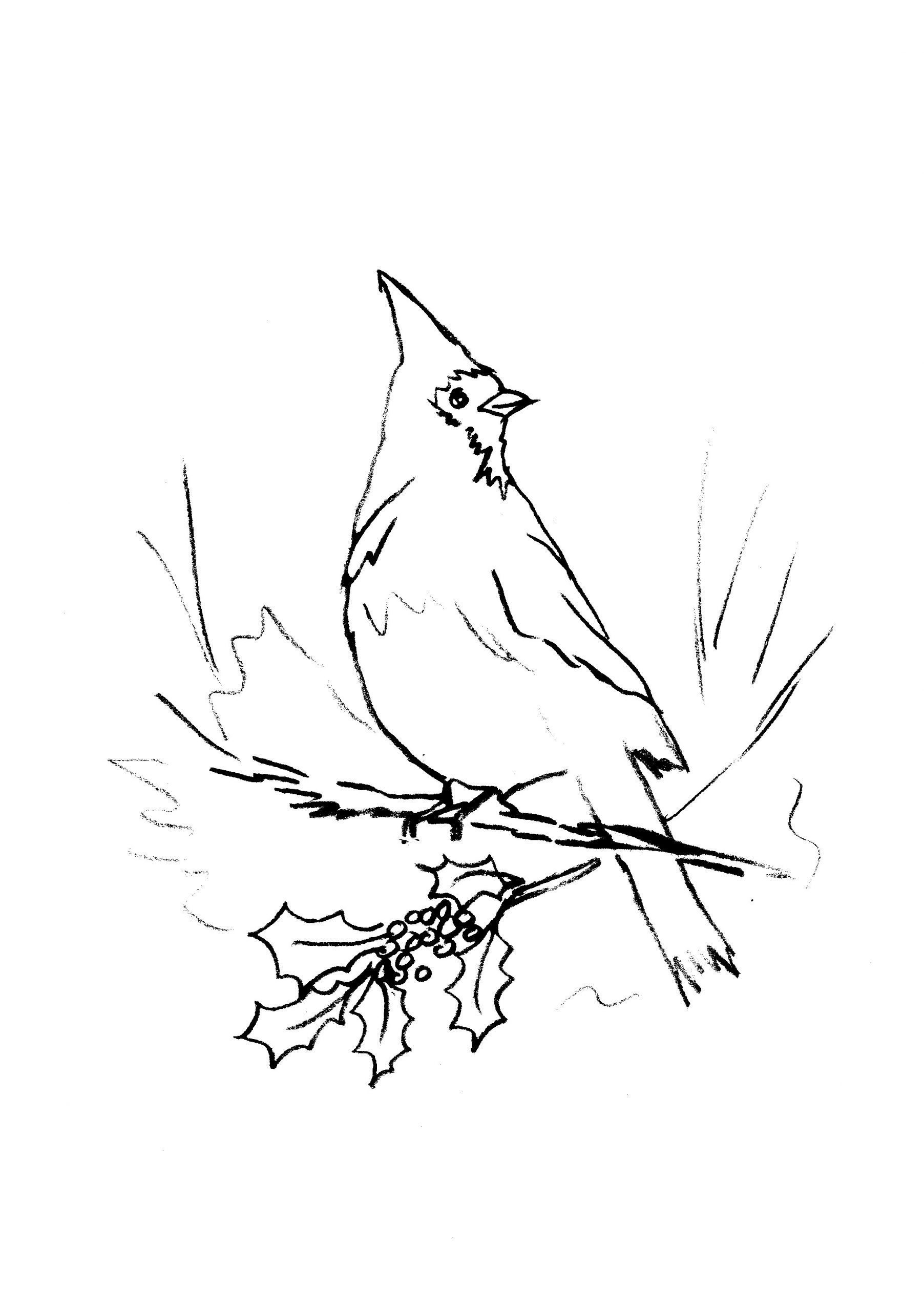 Christmas Sketch Bundle 1 - Image 5